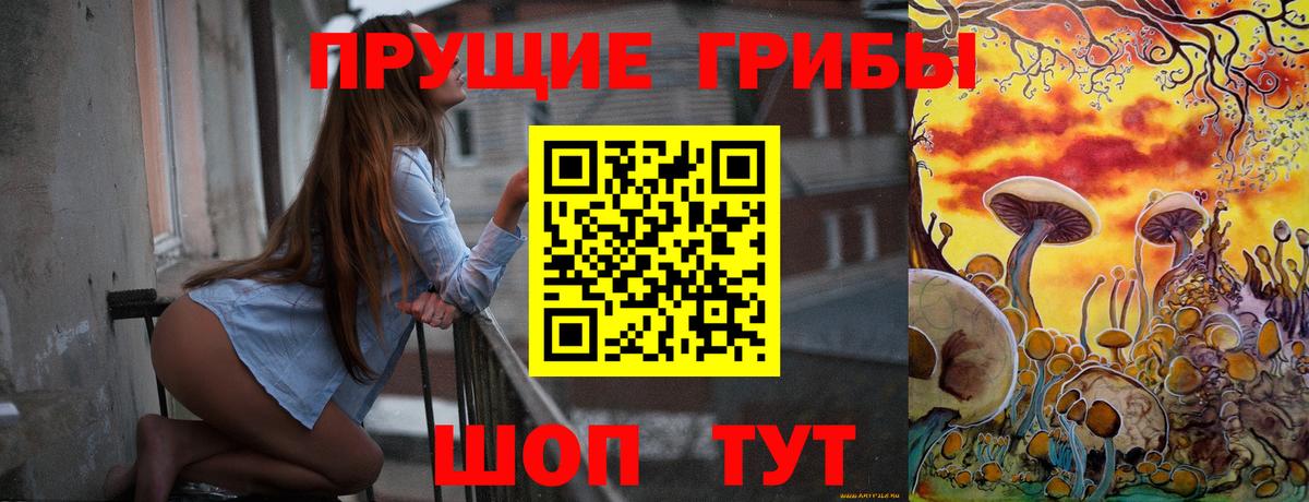 Киржач  Псилоцибиновые грибы мицелий  купить   Вход с VPN 